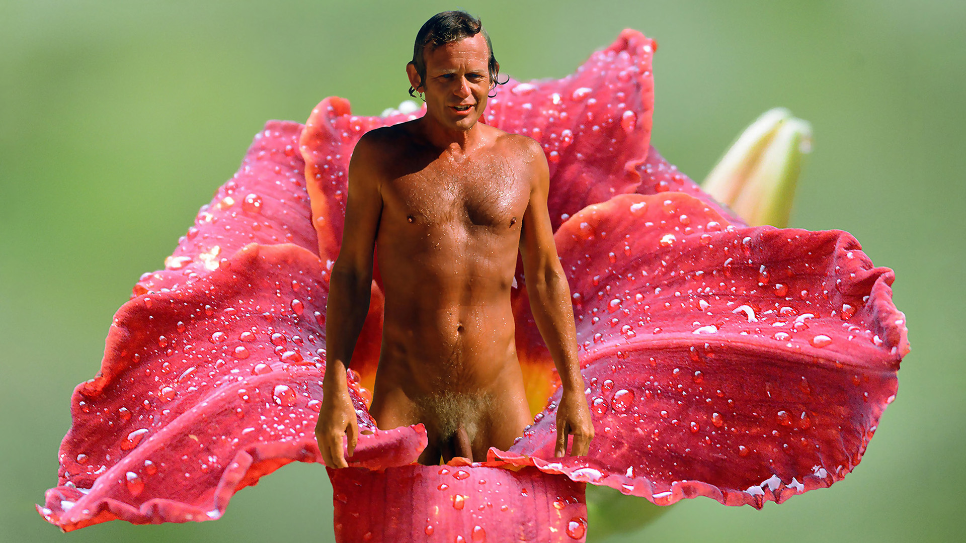 Collage - Nudism and nature - naked man in the bosom of a daylily